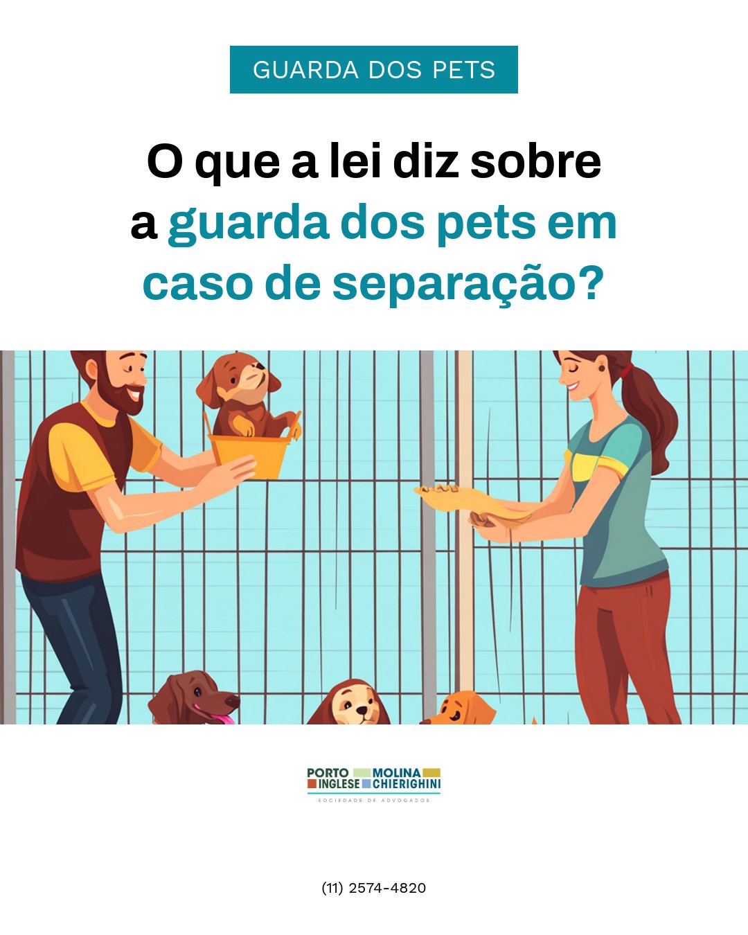 O que a Lei diz sobre a guarda de pets em caso de separação